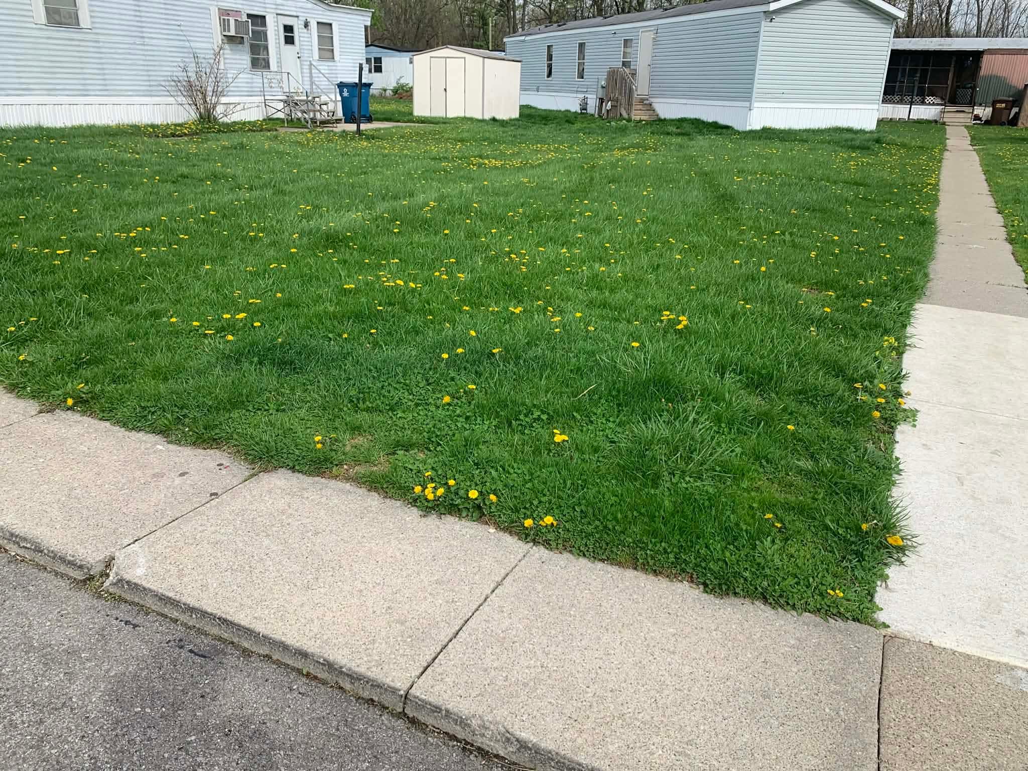 Trailer park property before service