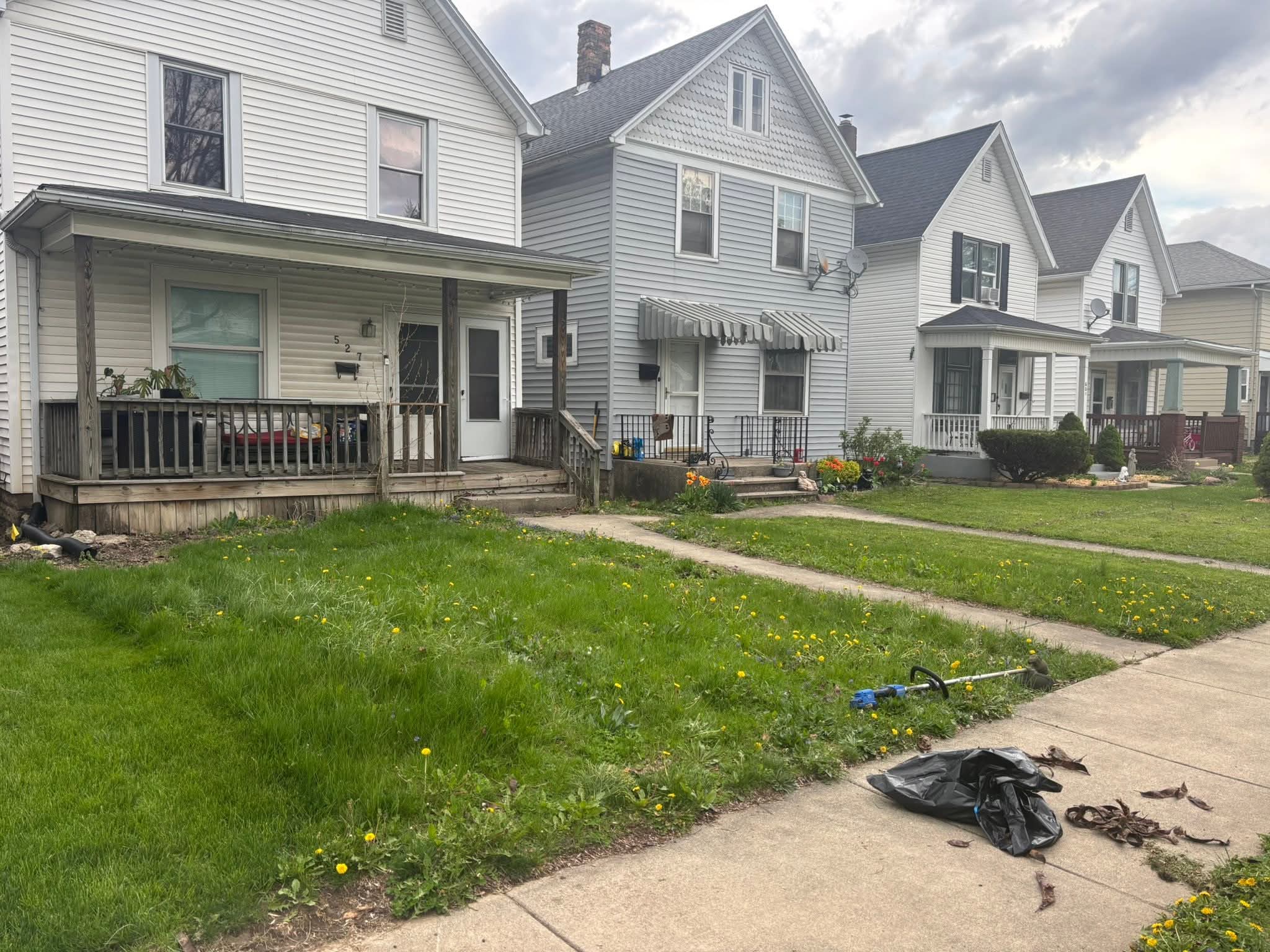 Residential lawn before mowing